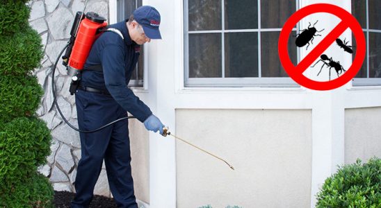 Gebze Dezenfeksiyon böcek ilaçlama ve haşere kontrolü — ilaclama-tr.com